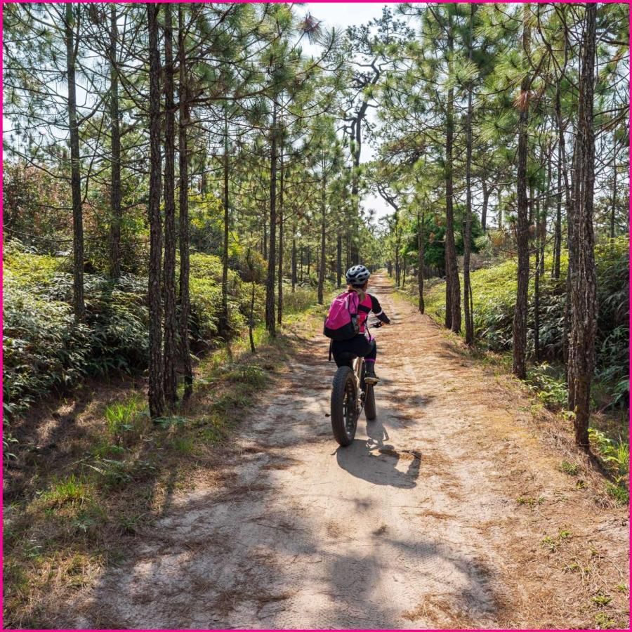 Mobilhome 2Ch Climatise-Terrasse Fermee-4 Velos-Camping 4 Etoiles Les Charmettes Les Mathes Dış mekan fotoğraf